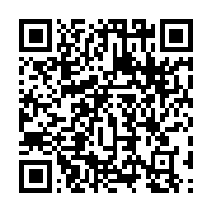 Link naar je actie QRCode - Fondswerving