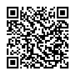 Link naar je actie QRCode - Fondswerving