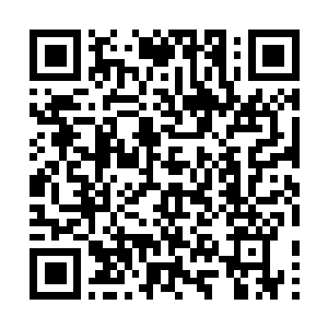 Link naar je actie QRCode - Fondswerving