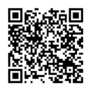 Link naar je actie QRCode - Fondswerving