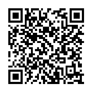 Link naar je actie QRCode - Fondswerving