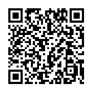Link naar je actie QRCode - Fondswerving