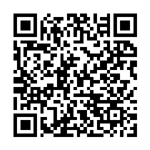 Link naar je actie QRCode - Fondswerving