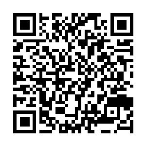 Link naar je actie QRCode - Fondswerving