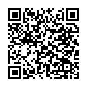 Link naar je actie QRCode - Fondswerving