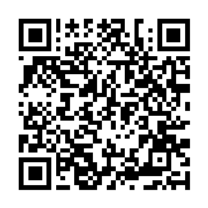 Link naar je actie QRCode - Fondswerving