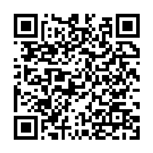 Link naar je actie QRCode - Fondswerving