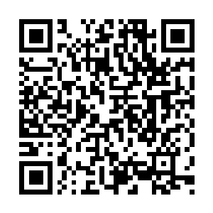 Link naar je actie QRCode - Fondswerving