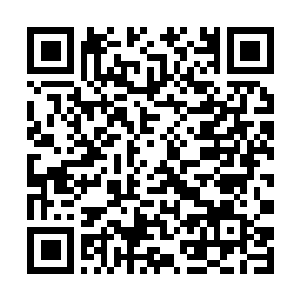 Link naar je actie QRCode - Fondswerving