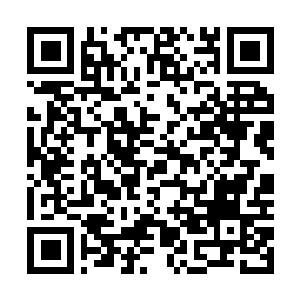 Link naar je actie QRCode - Fondswerving