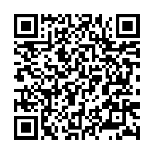 Link naar je actie QRCode - Fondswerving