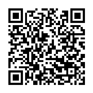 Link naar je actie QRCode - Fondswerving
