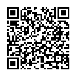 Link naar je actie QRCode - Fondswerving