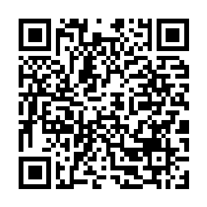 Link naar je actie QRCode - Fondswerving