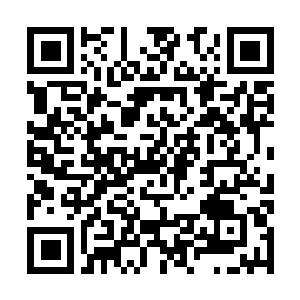 Link naar je actie QRCode - Fondswerving