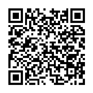 Link naar je actie QRCode - Fondswerving