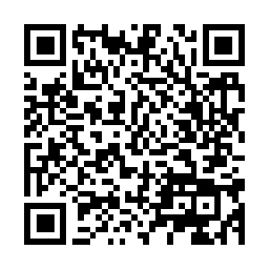 Link naar je actie QRCode - Fondswerving