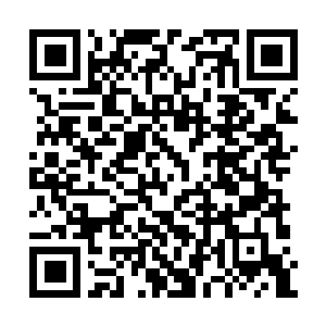 Link naar je actie QRCode - Fondswerving