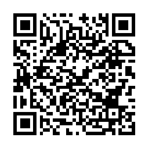 Link naar je actie QRCode - Fondswerving