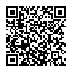 Link naar je actie QRCode - Fondswerving