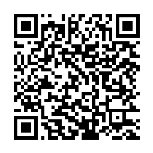 Link naar je actie QRCode - Fondswerving