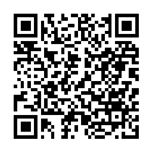 Link naar je actie QRCode - Fondswerving
