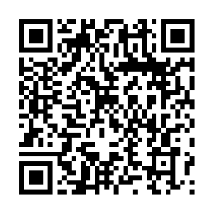 Link naar je actie QRCode - Fondswerving