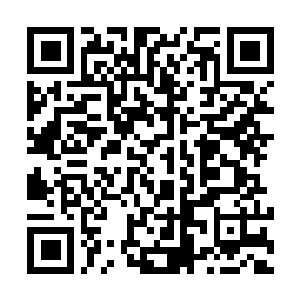 Link naar je actie QRCode - Fondswerving