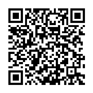 Link naar je actie QRCode - Fondswerving