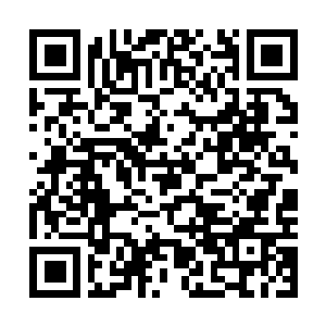 Link naar je actie QRCode - Fondswerving