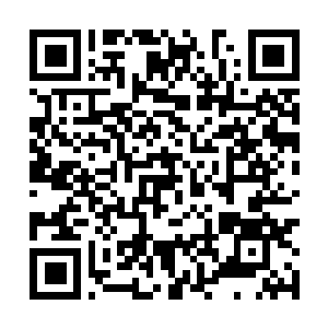 Link naar je actie QRCode - Fondswerving