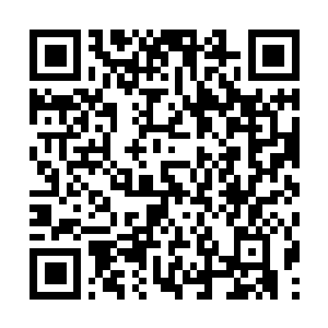 Link naar je actie QRCode - Fondswerving