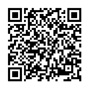 Link naar je actie QRCode - Fondswerving