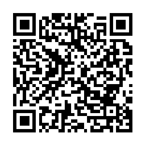 Link naar je actie QRCode - Fondswerving