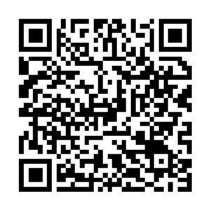Link naar je actie QRCode - Fondswerving