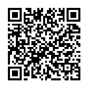 Link naar je actie QRCode - Fondswerving