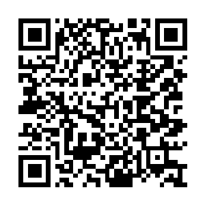Link naar je actie QRCode - Fondswerving