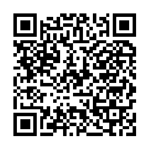 Link naar je actie QRCode - Fondswerving