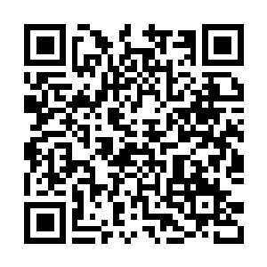 Link naar je actie QRCode - Fondswerving