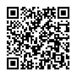 Link naar je actie QRCode - Fondswerving