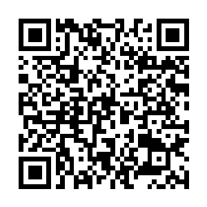 Link naar je actie QRCode - Fondswerving