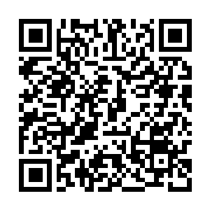 Link naar je actie QRCode - Fondswerving