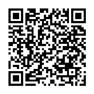 Link naar je actie QRCode - Fondswerving