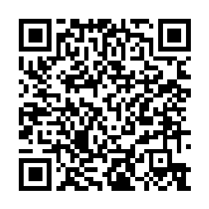 Link naar je actie QRCode - Fondswerving