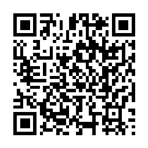 Link naar je actie QRCode - Fondswerving