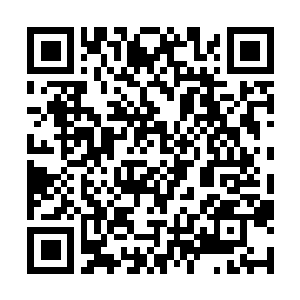 Link naar je actie QRCode - Fondswerving