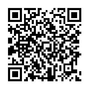 Link naar je actie QRCode - Fondswerving
