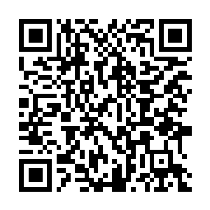 Link naar je actie QRCode - Fondswerving