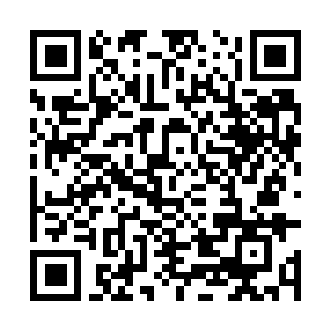 Link naar je actie QRCode - Fondswerving