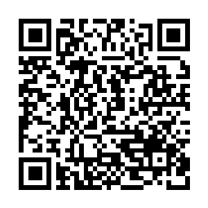 Link naar je actie QRCode - Fondswerving